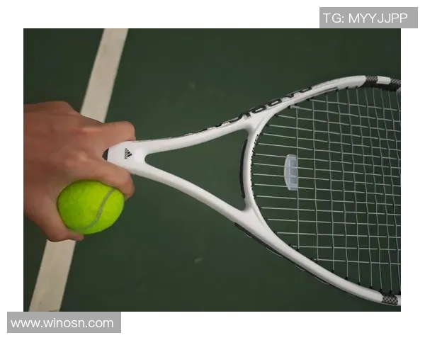 权威发布网球实力榜单揭示新一轮选手排名与竞争态势