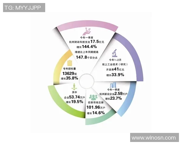 杭州羽毛球队运营创新之路探索与实践的深度剖析