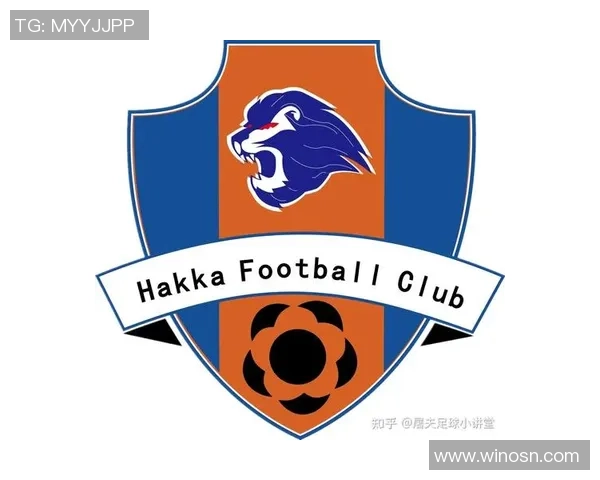 南京足球队实力解析:聚焦球队发展与未来展望