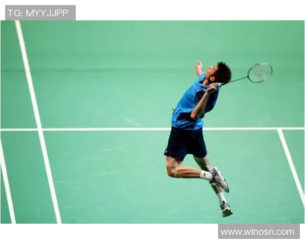 赵娜独家揭秘羽毛球技巧与心得分享助你提升竞技水平