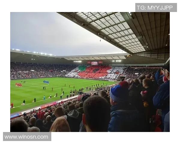 宝鸡足球明星的崛起与成就探秘他们如何在绿茵场上书写传奇